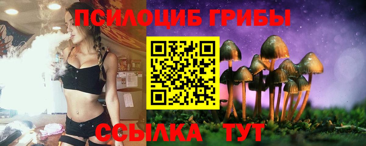 Галлюциногенные грибы ЛСД Кандалакша