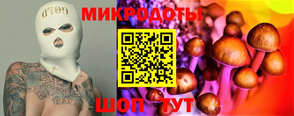 Галлюциногенные грибы Psilocybe  Галлюциногенные грибы мухоморы  Кандалакша  Вход с VPN 